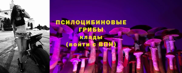 гашиш Аркадак