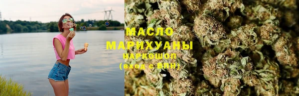 амф Гусь-Хрустальный