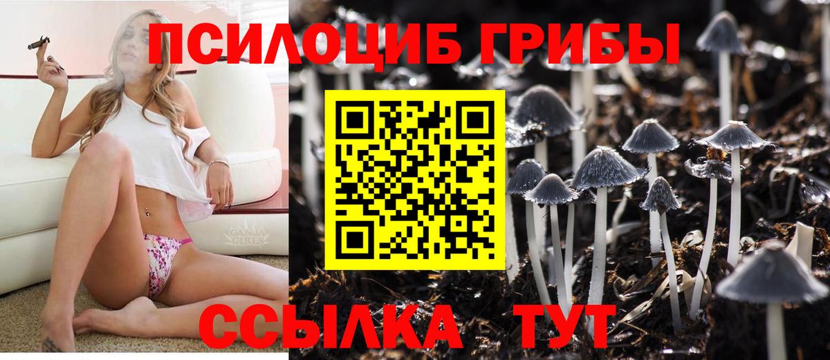 ГАШ Кудымкар