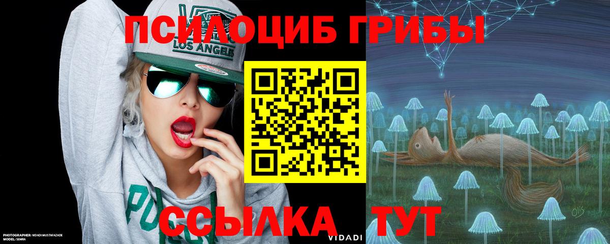 Галлюциногенные грибы Psilocybine cubensis Кудымкар