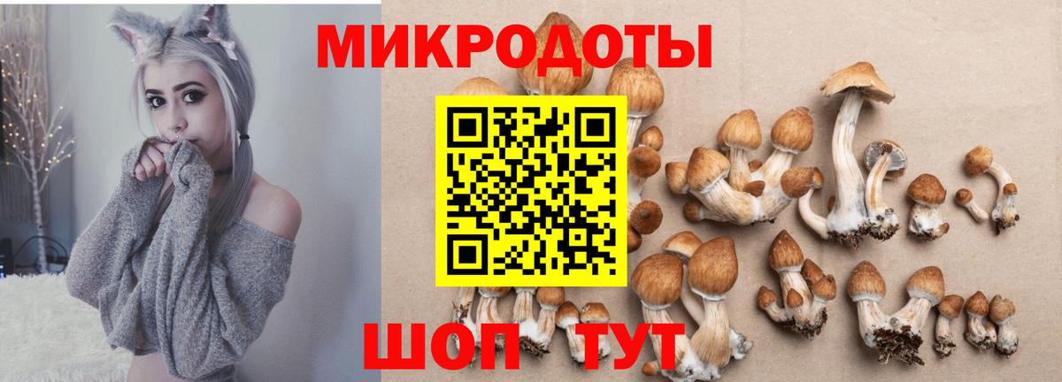 Галлюциногенные грибы мухоморы  Вход с VPN  Кудымкар 